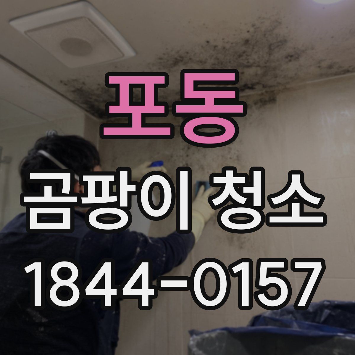 포동 곰팡이 청소