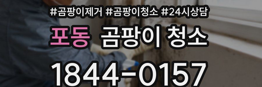 포동 곰팡이 청소