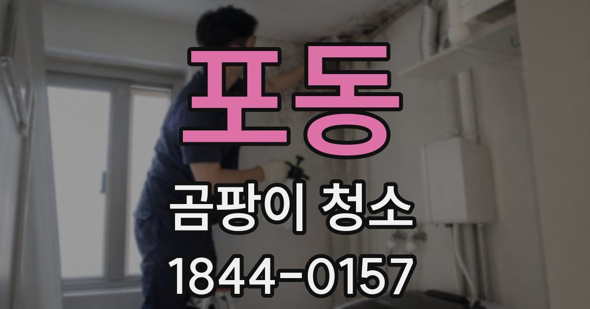 포동 곰팡이 청소