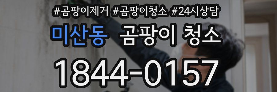 미산동 곰팡이 청소