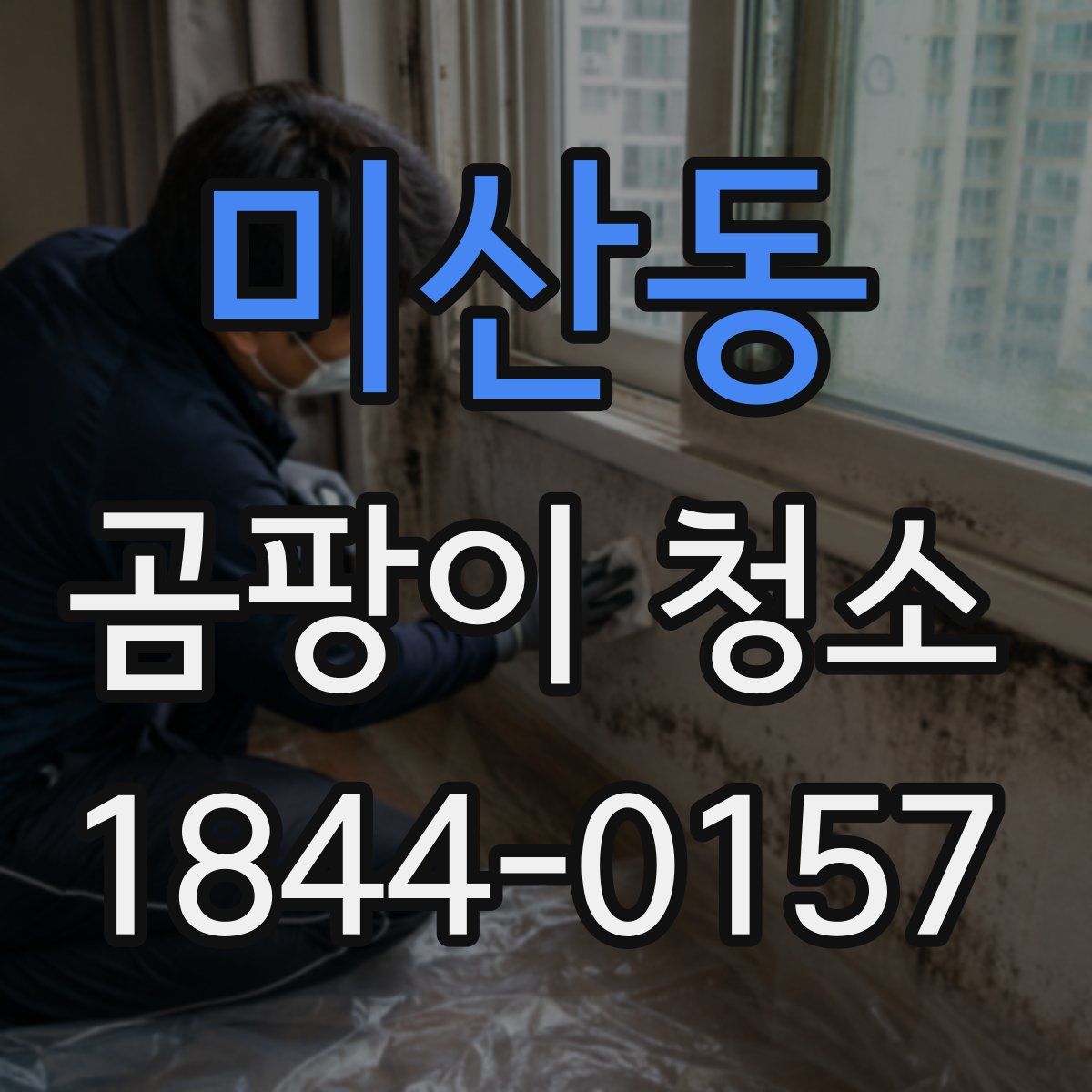 미산동 곰팡이 청소