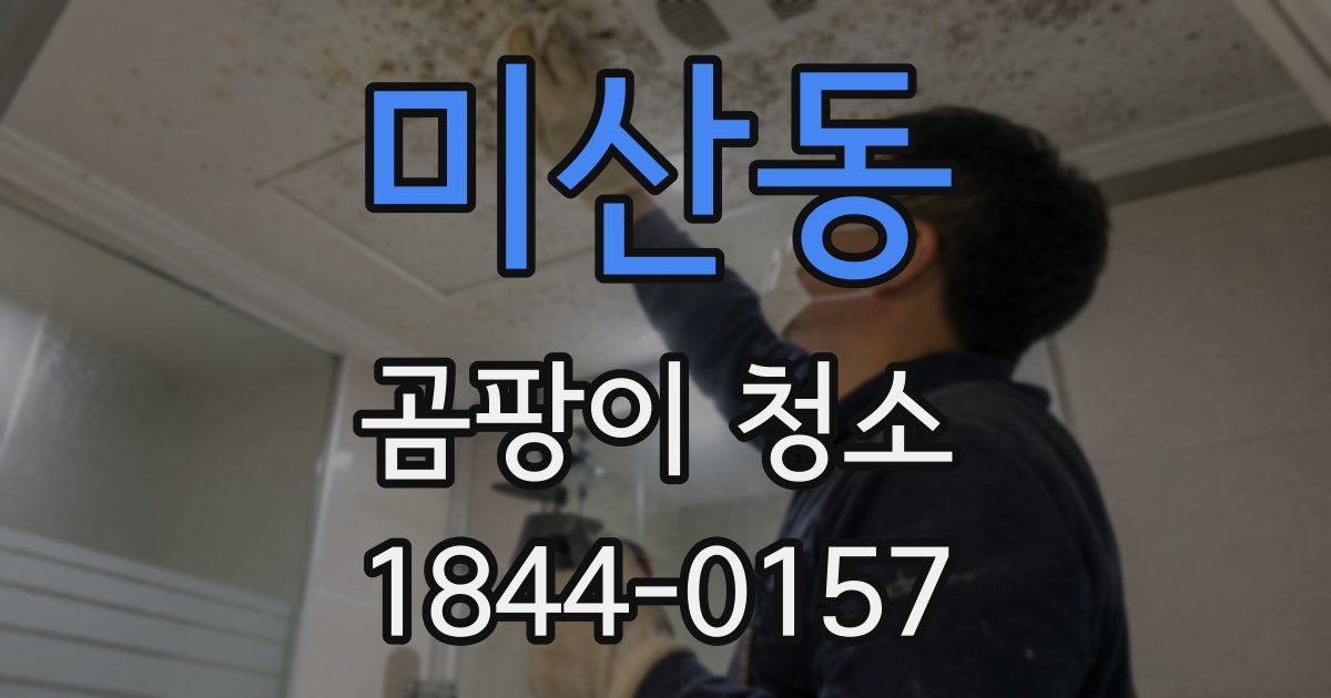미산동 곰팡이 청소
