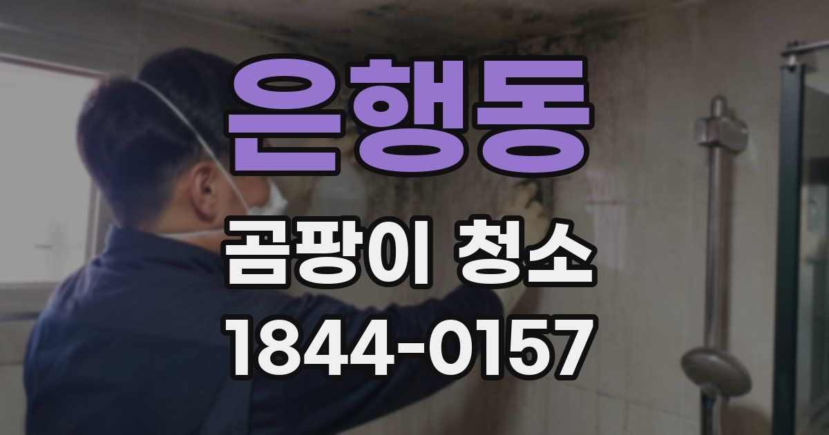 은행동 곰팡이 청소