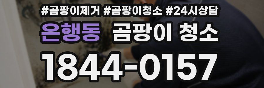 은행동 곰팡이 청소