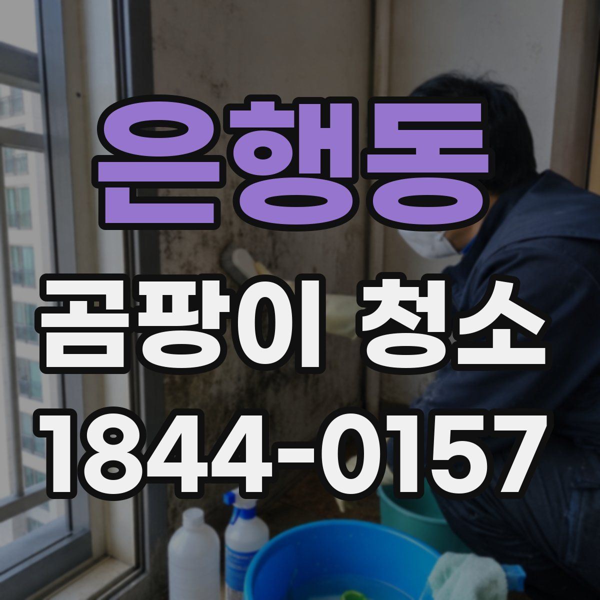 은행동 곰팡이 청소