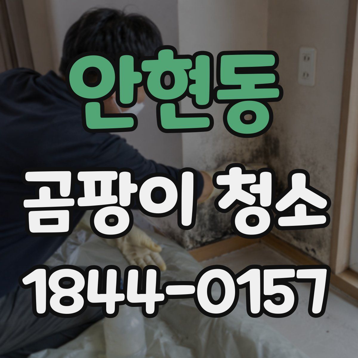 안현동 곰팡이 청소