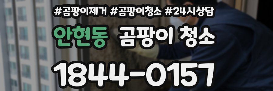 안현동 곰팡이 청소