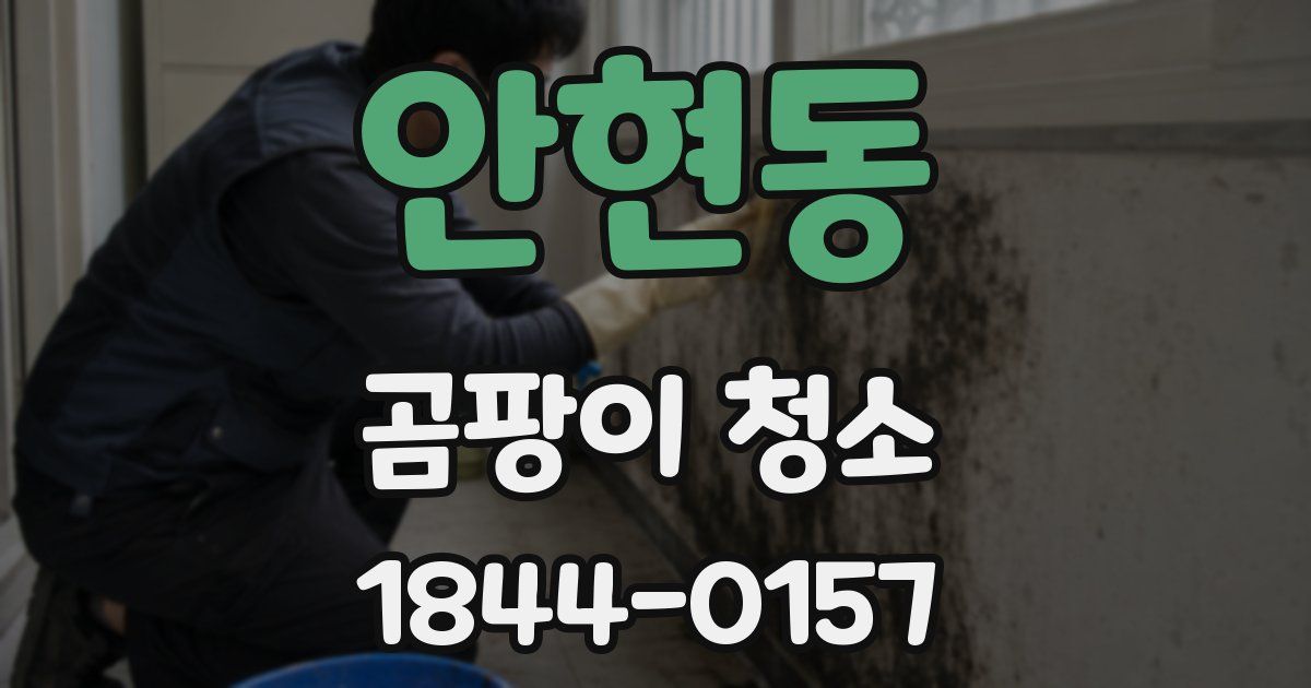 안현동 곰팡이 청소
