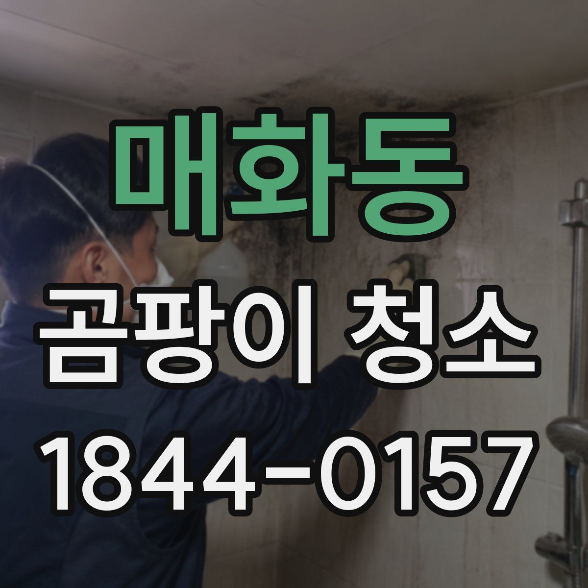 매화동 곰팡이 청소