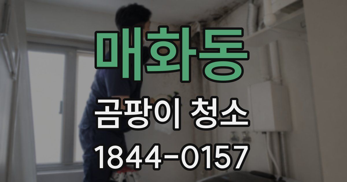 매화동 곰팡이 청소