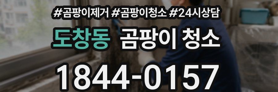 도창동 곰팡이 청소