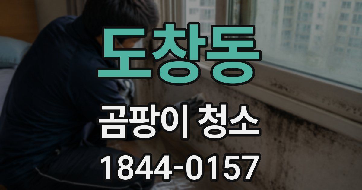 도창동 곰팡이 청소