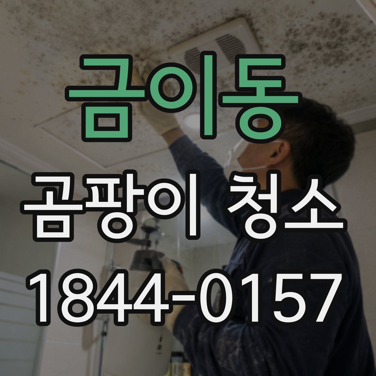 금이동 곰팡이 청소