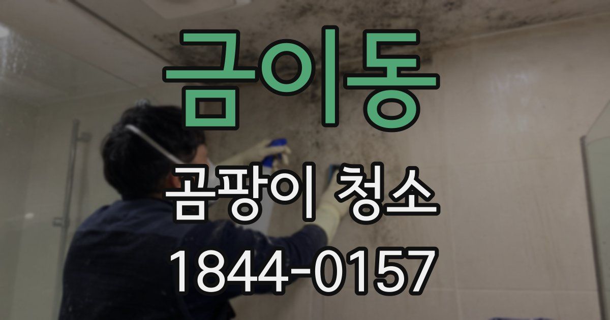금이동 곰팡이 청소
