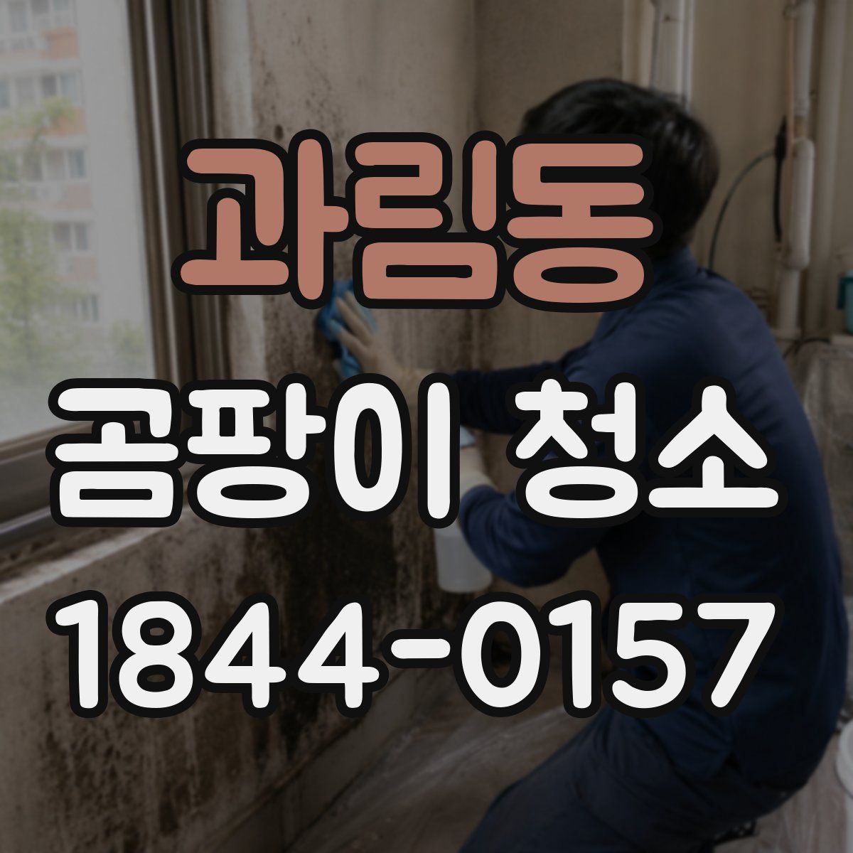 과림동 곰팡이 청소