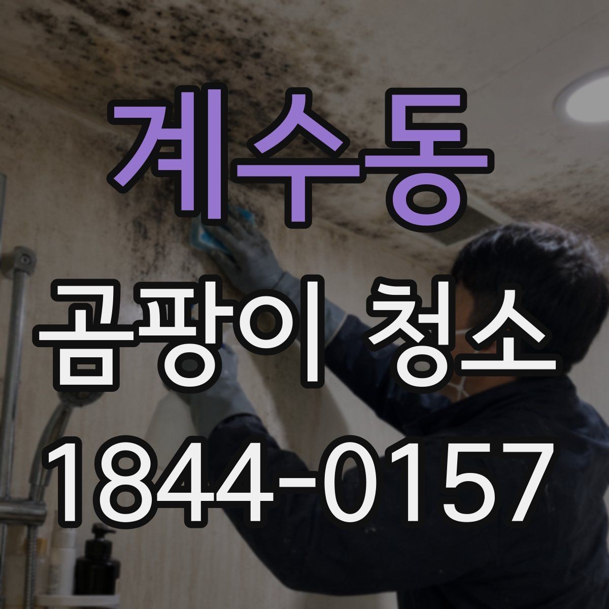 계수동 곰팡이 청소 뒤 작업 전후 사진 기록이 유용한 사례