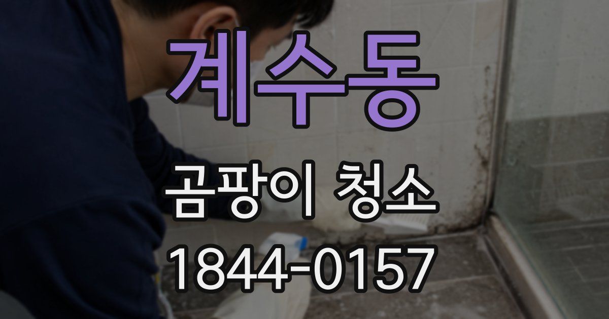 계수동 곰팡이 청소