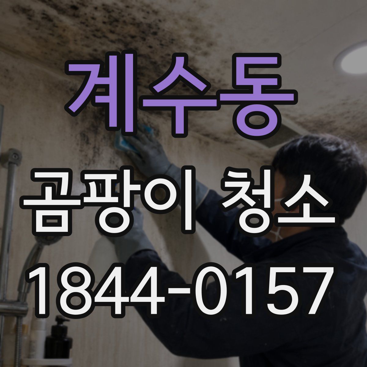 계수동 곰팡이 청소