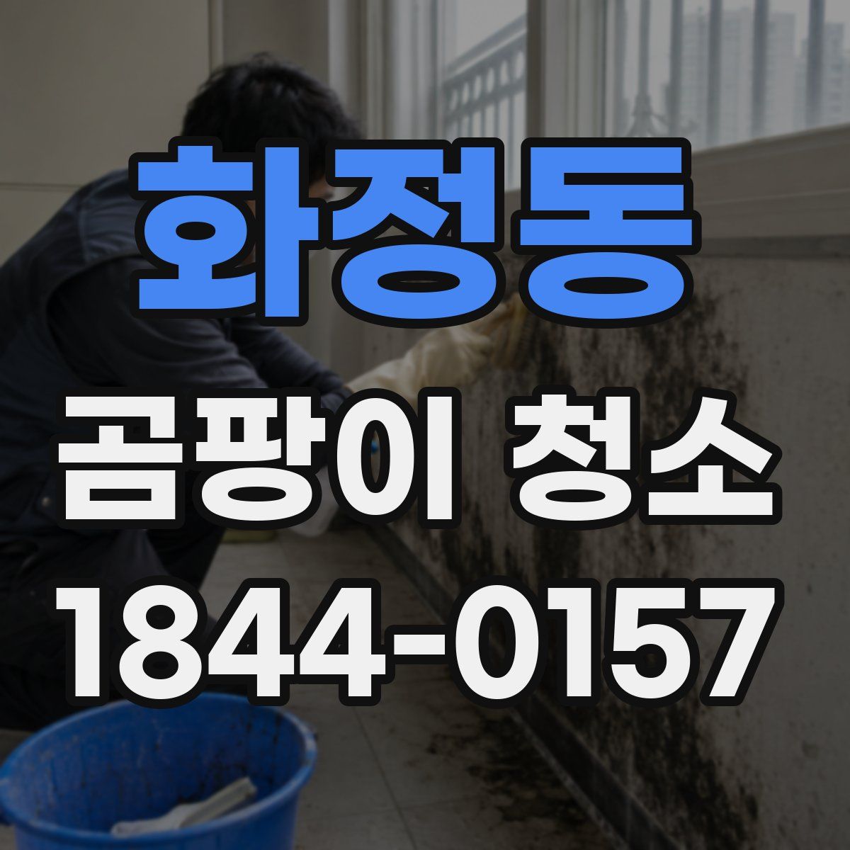 화정동 곰팡이 청소