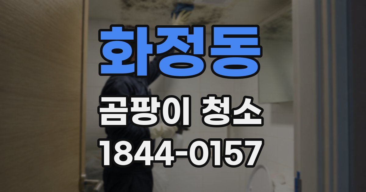 화정동 곰팡이 청소