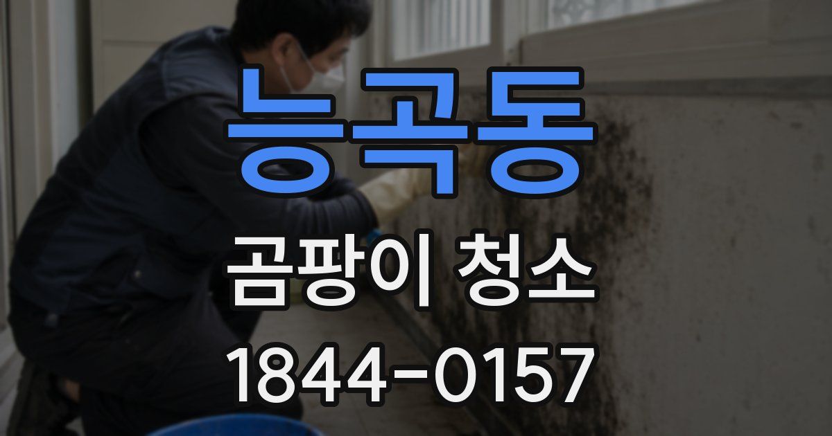 능곡동 곰팡이 청소