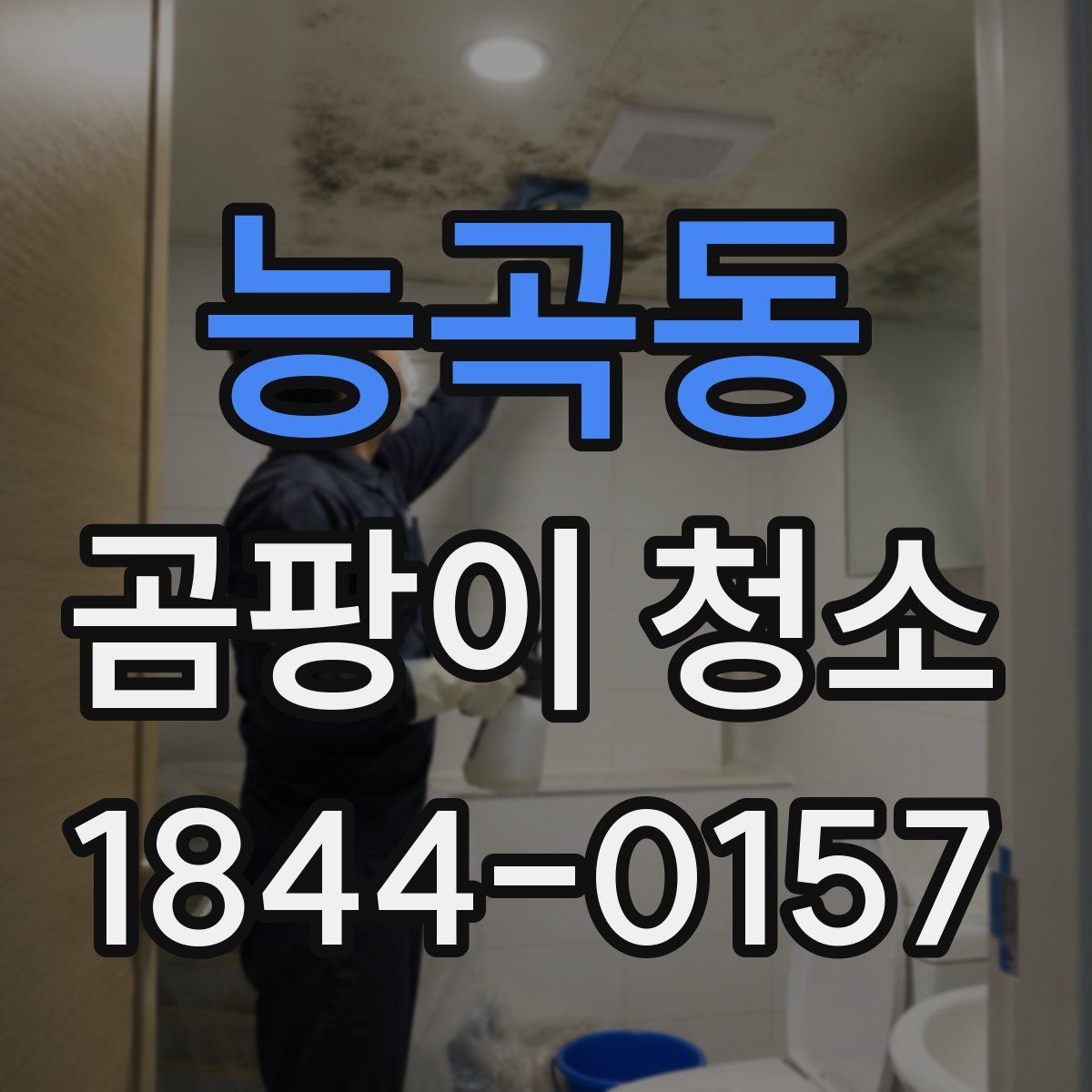 능곡동 곰팡이 청소