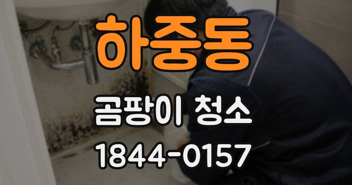 하중동 곰팡이 청소