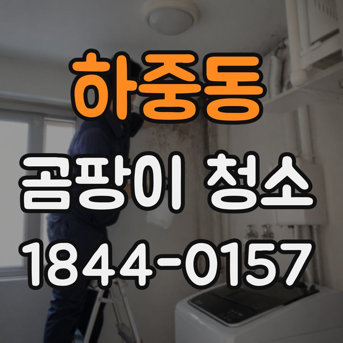 하중동 곰팡이 청소