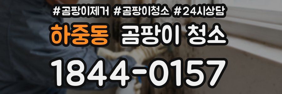 하중동 곰팡이 청소
