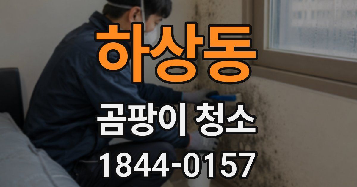 하상동 곰팡이 청소