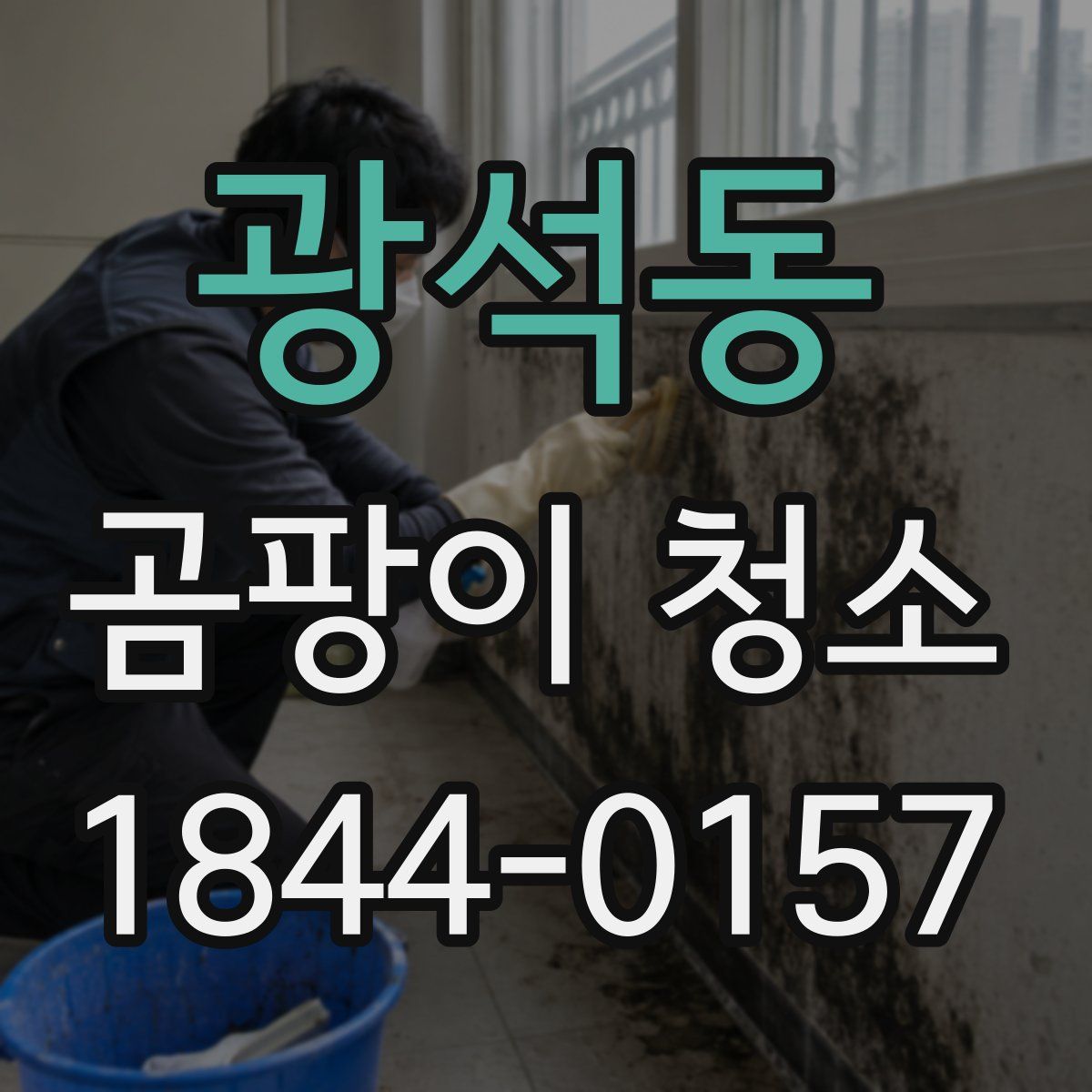 광석동 곰팡이 청소