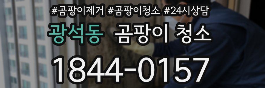 광석동 곰팡이 청소