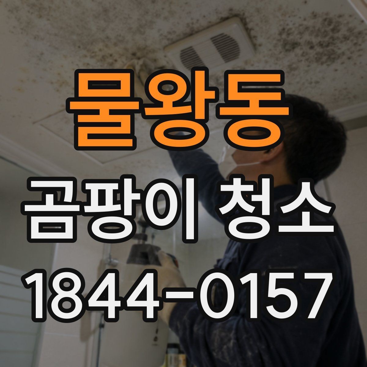 물왕동 곰팡이 청소 전 번식 환경을 점검하는 기준