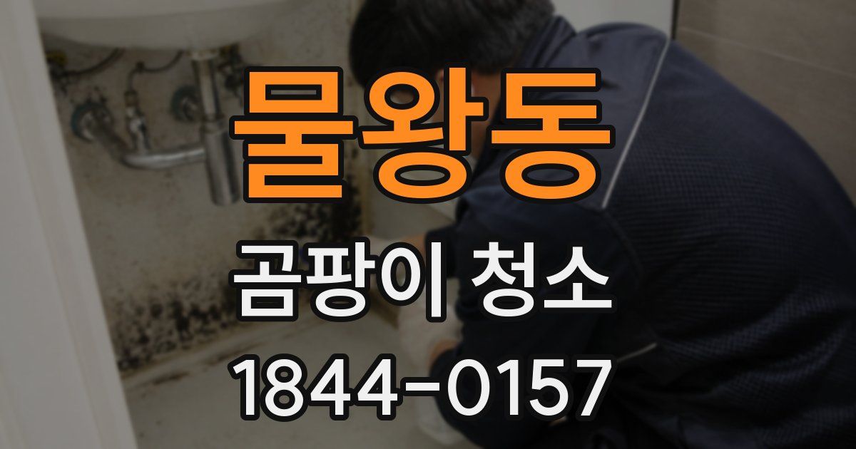 물왕동 곰팡이 청소