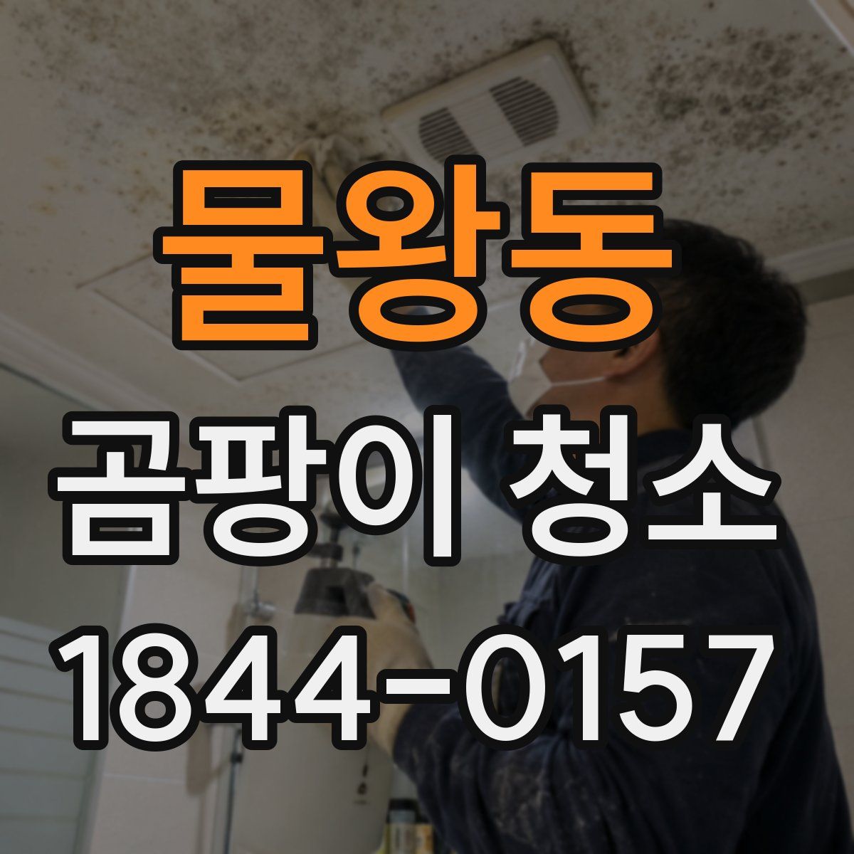 물왕동 곰팡이 청소