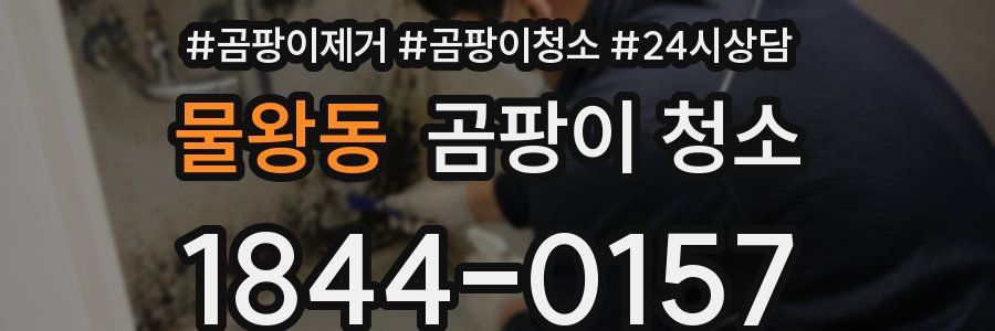 물왕동 곰팡이 청소