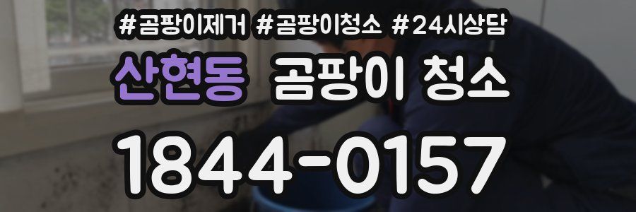 산현동 곰팡이 청소