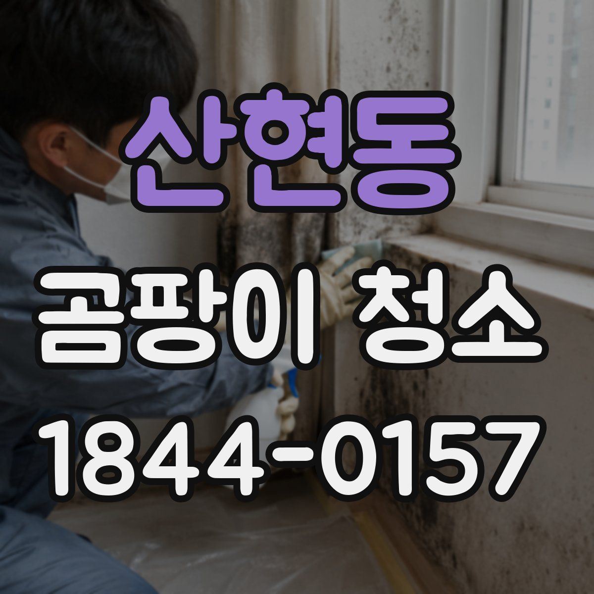산현동 곰팡이 청소