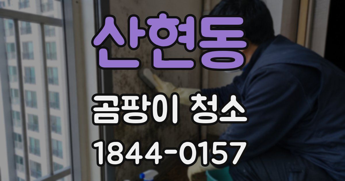 산현동 곰팡이 청소