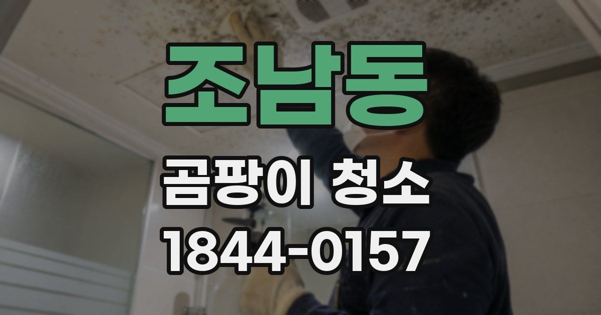 조남동 곰팡이 청소