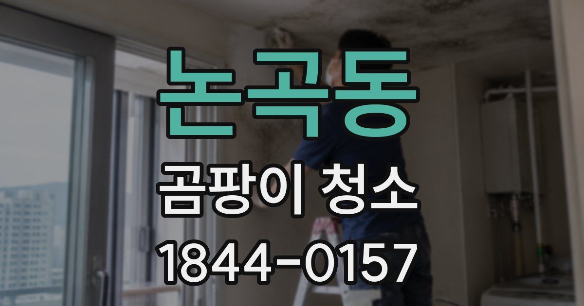 논곡동 곰팡이 청소