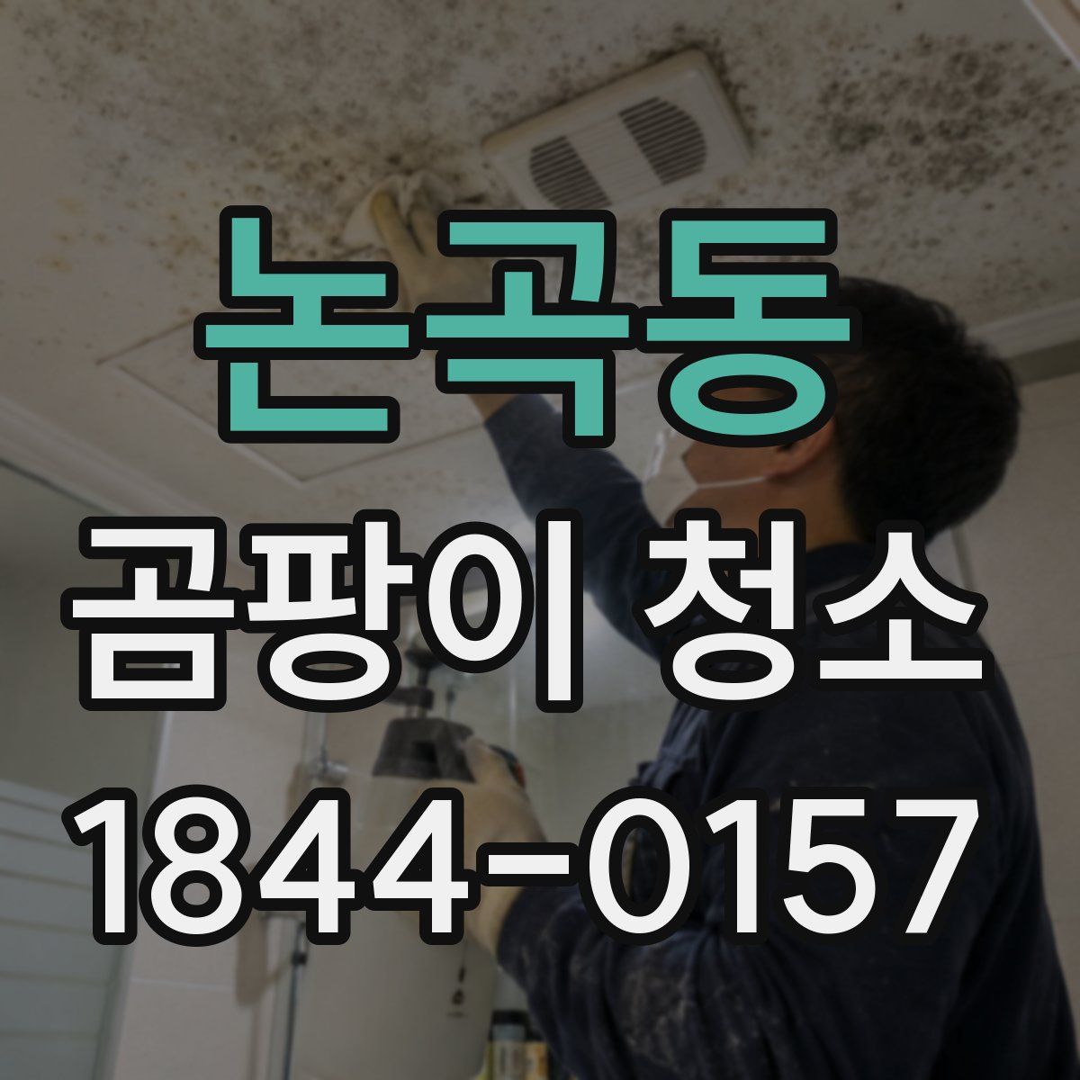 논곡동 곰팡이 청소