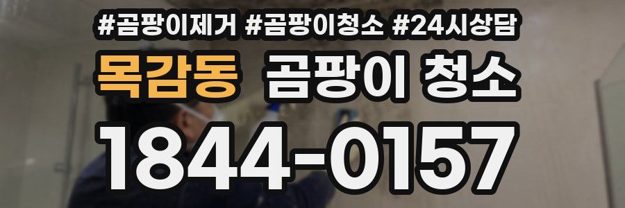 목감동 곰팡이 청소