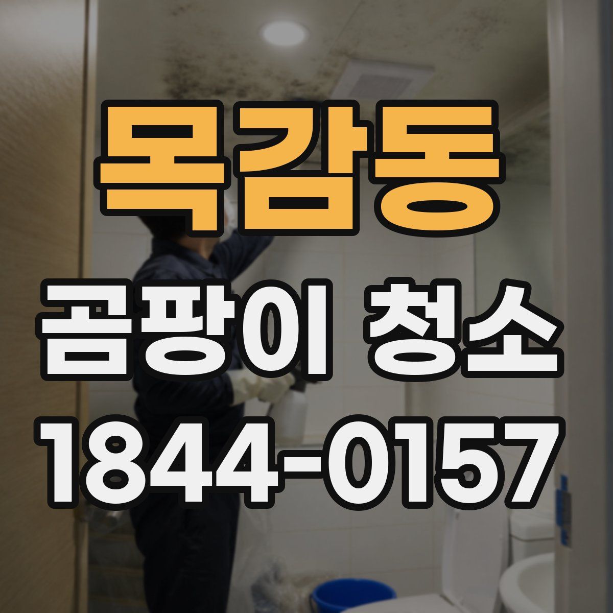 목감동 곰팡이 청소