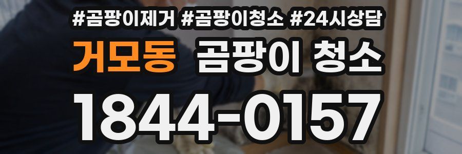 거모동 곰팡이 청소