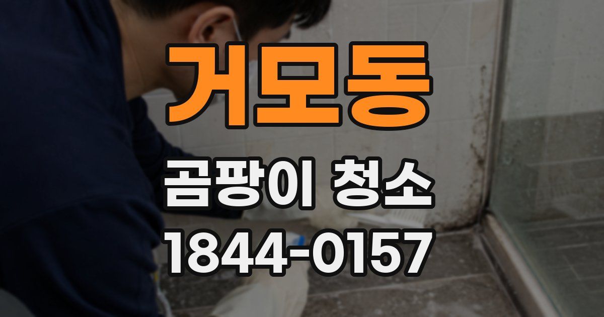 거모동 곰팡이 청소