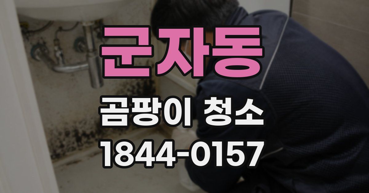 군자동 곰팡이 청소