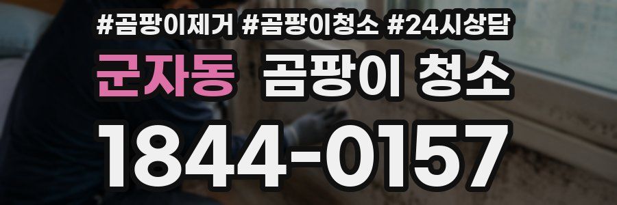 군자동 곰팡이 청소