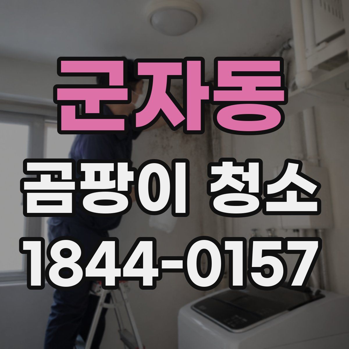 군자동 곰팡이 청소