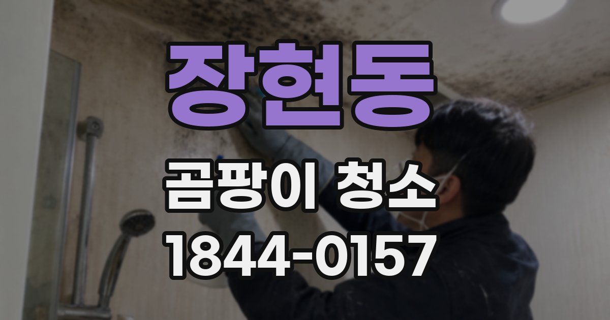 장현동 곰팡이 청소